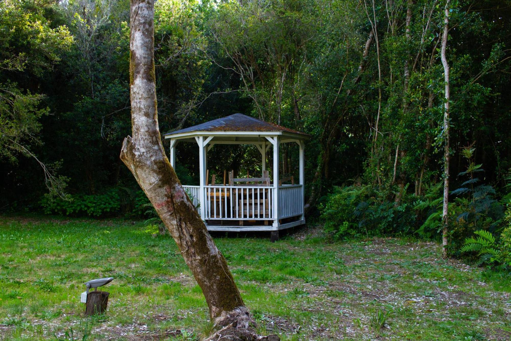 - Casa Del Bosque Hospedagem domiciliar