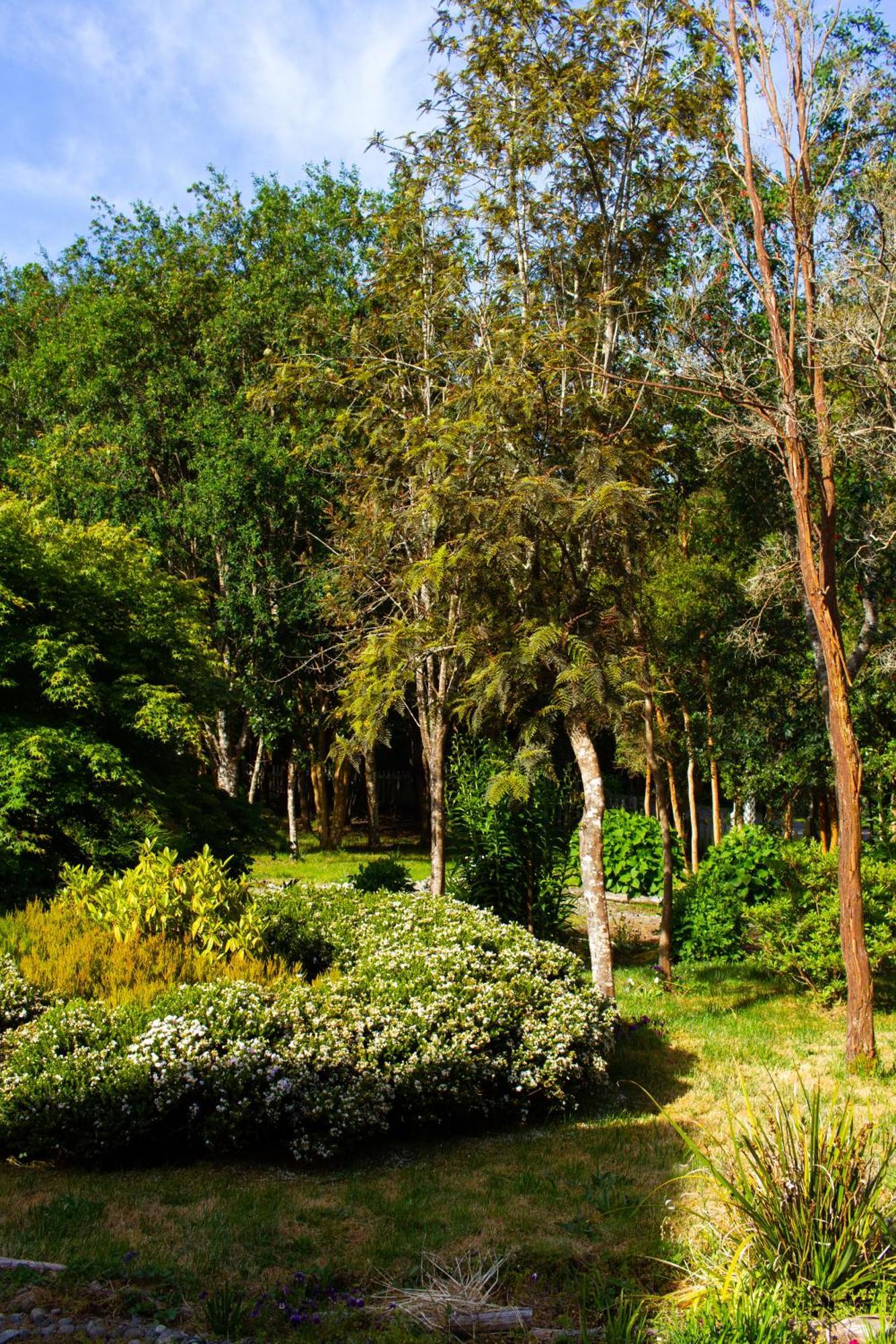 - Casa Del Bosque Hospedagem domiciliar Puerto Varas