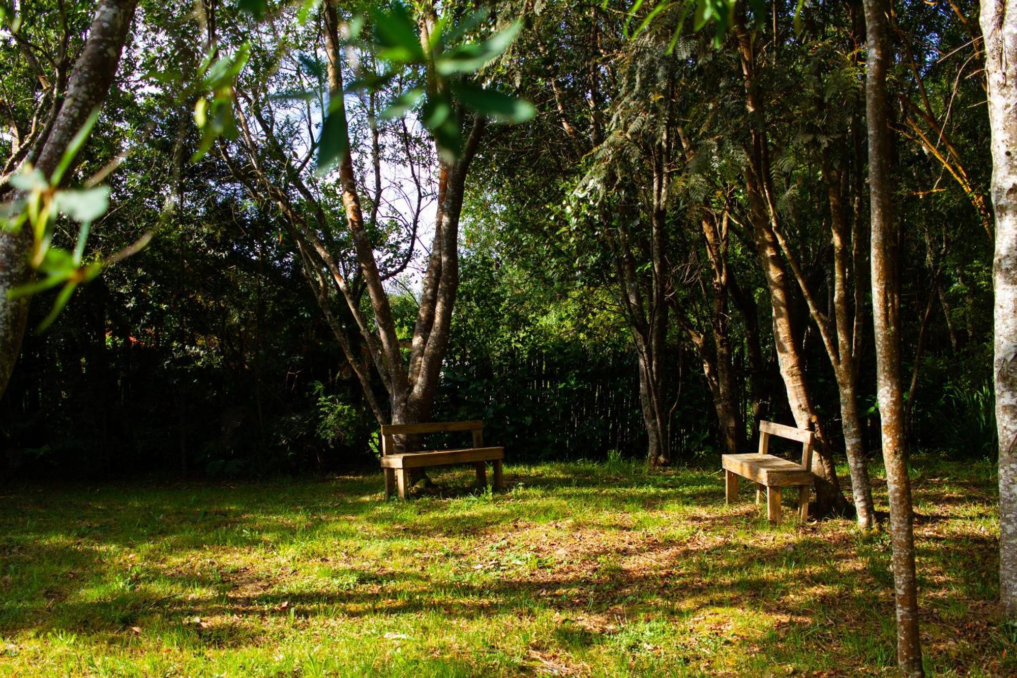 - Casa Del Bosque Hospedagem domiciliar